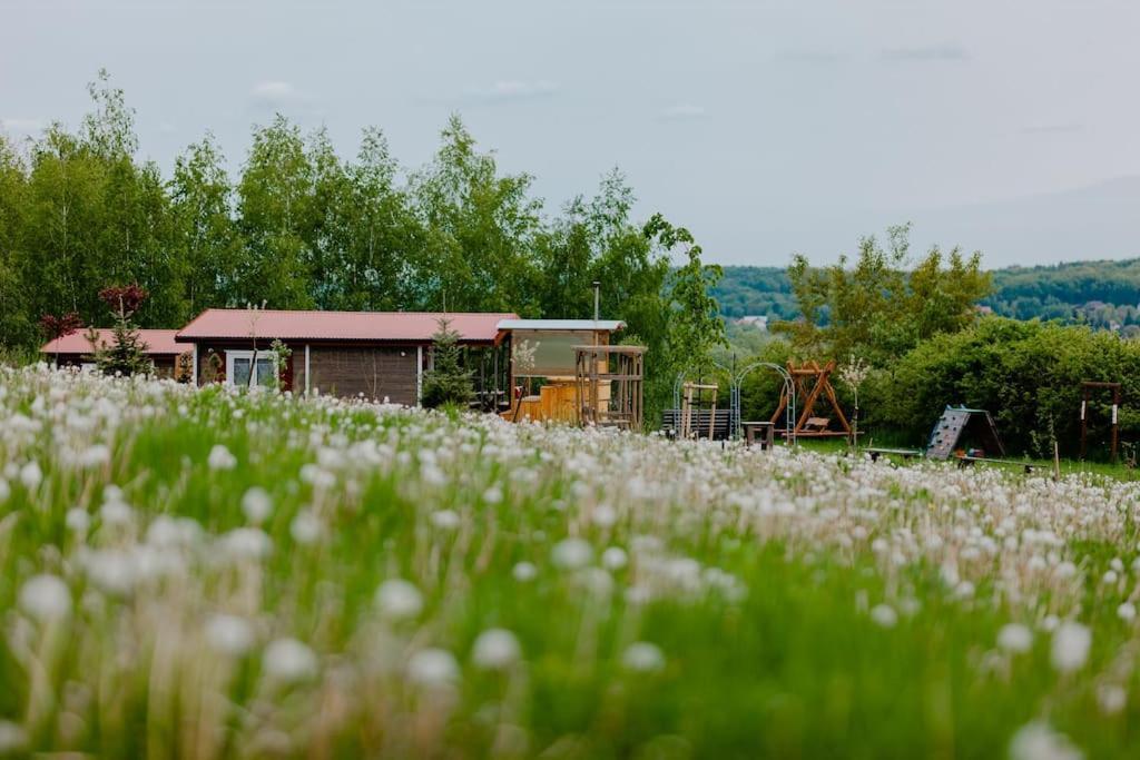 Domki Na Gorniej Lace - Domek Slowik Lazany Exterior photo